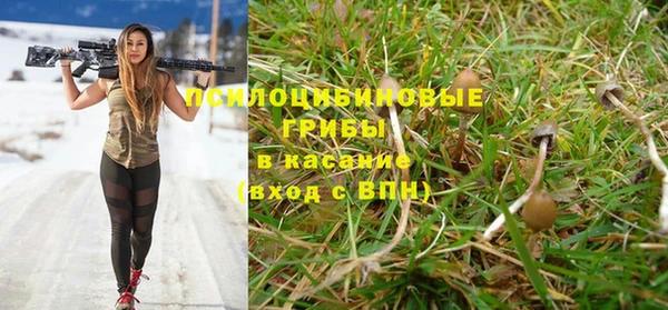 крисы Вязьма