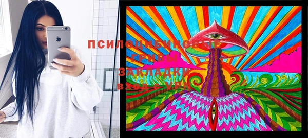 крисы Вязьма