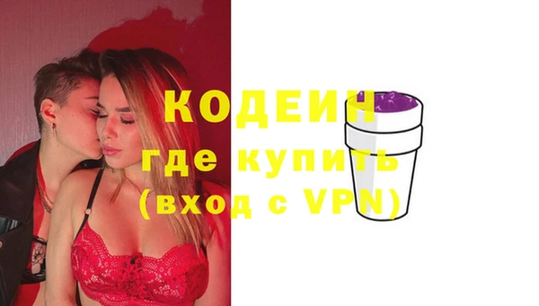 индика Вязники