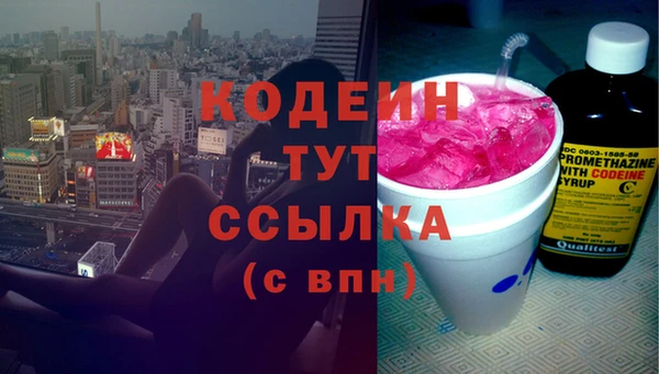 индика Вязники