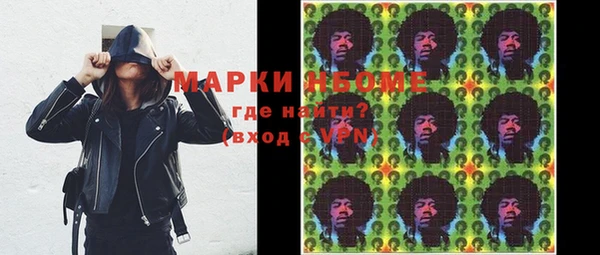 индика Вязники