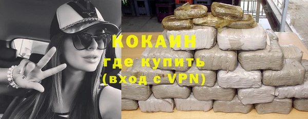 индика Вязники