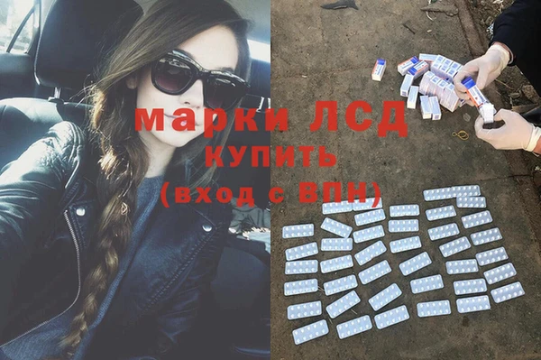 крисы Вязьма