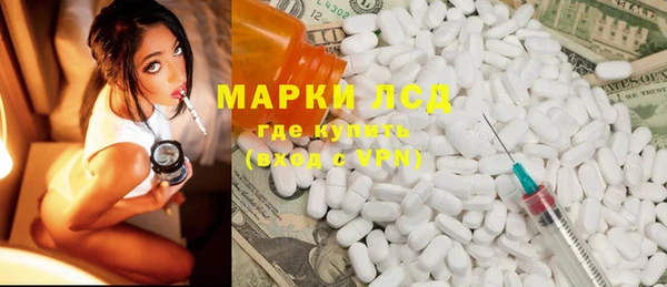 индика Вязники