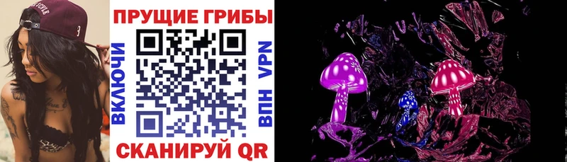 Псилоцибиновые грибы MAGIC MUSHROOMS  что такое   Бузулук 