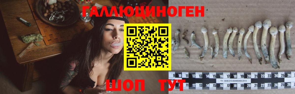 Галлюциногенные грибы ЛСД  купить наркоту  Галлюциногенные грибы Psilocybe  Бузулук 